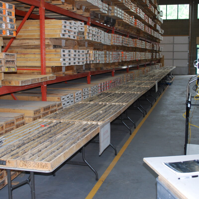 50 million-year-old testate amoebae