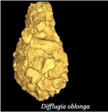 How shall I build my test?