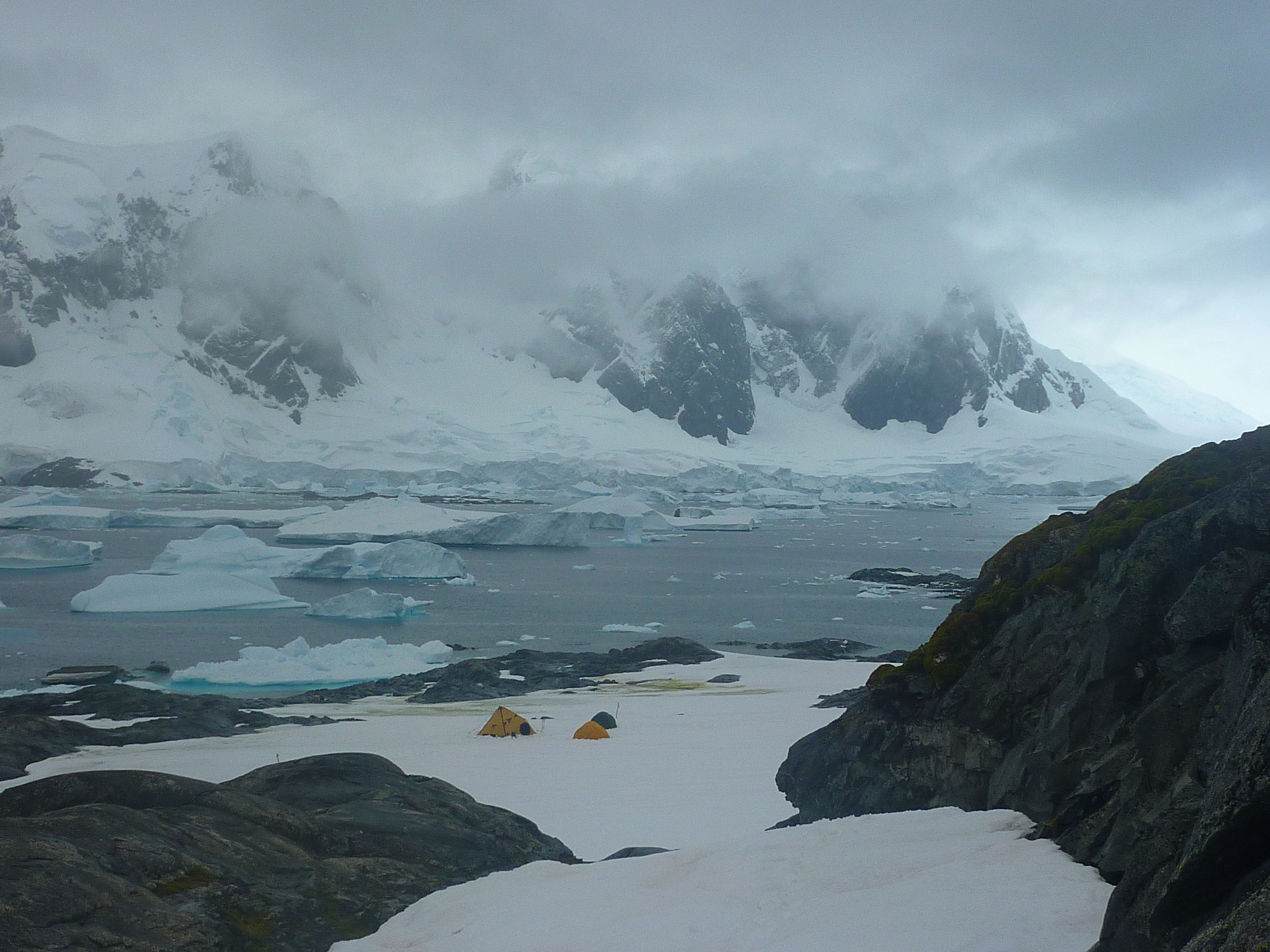 Campsite on Green Island with blue-eyed cormorants and the creaking icebergs just offshore as our only companions (Photo: Matt Amesbury)