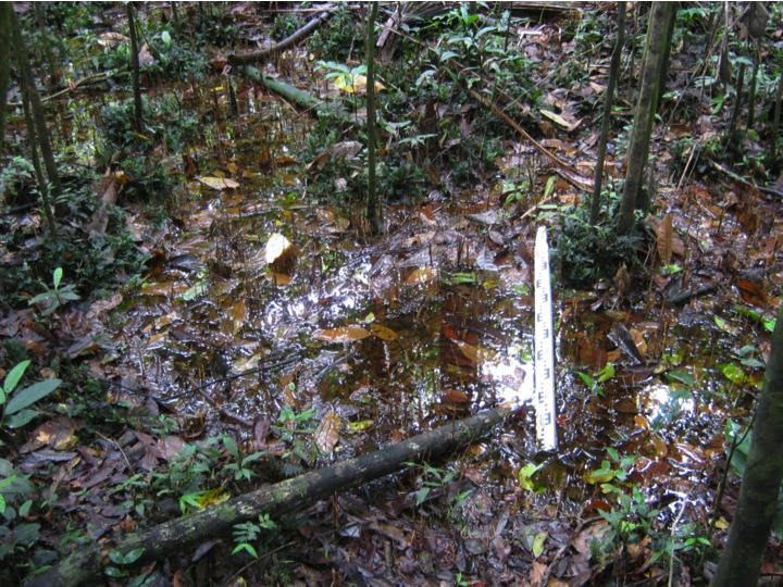 One of 100 sampling sites.