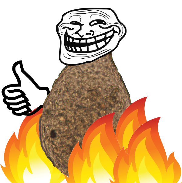 Fig. 3. Nebela tincta s.l. on fire.