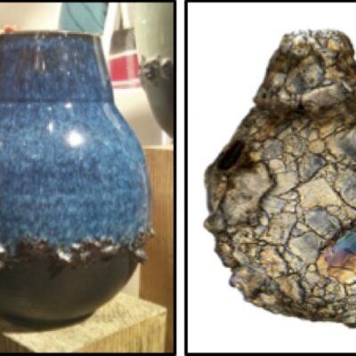 When real life imitates testates: a 2019 ‘Testate amoebae in the real world’ calendar?!