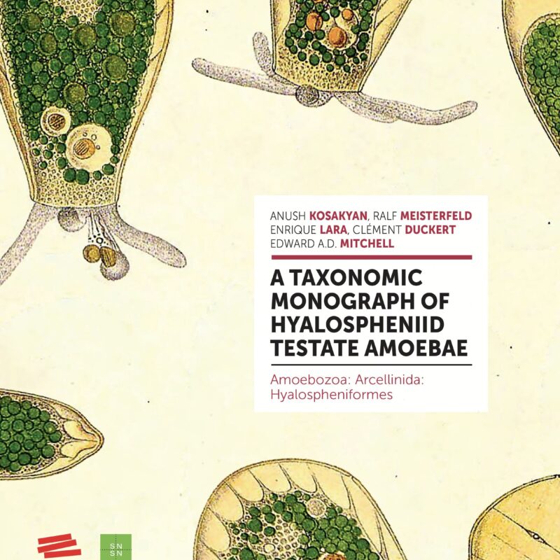 A new monograph on hyalospheniid testate amoebae!