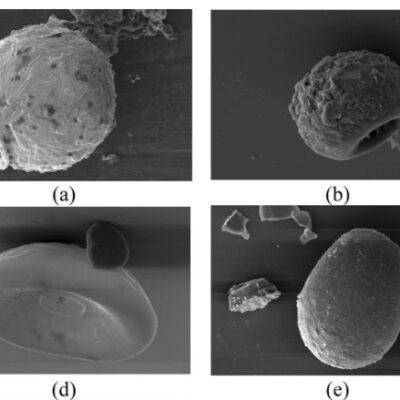 A useful resource data base on testate amoeba traits
